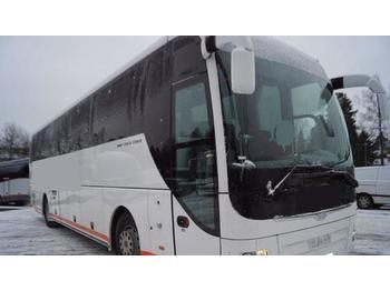 MAN Lions Coach Buss med 51 seter euro 6  - Kaugsõidu buss