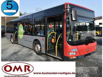 Linnaliini buss MAN A 37 Lion´s City/A20/A21/530/Citaro: pilt 1
