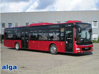 Linnaliini buss MAN Lions City Ü, A20, Euro 6, 41 Sitze: pilt 1