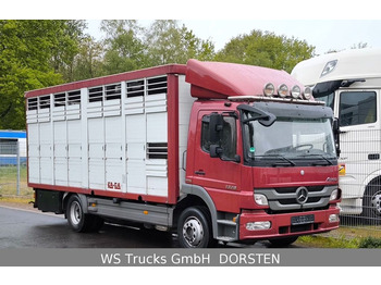 Mercedes-Benz Atego 1329  4x2  KA-BA Viehtransporter Großvieh  - Muu seadmestik: pilt 1