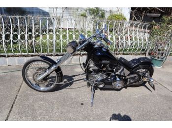 Auto Motorrad (L3) Harley Davidson HDMC: pilt 1