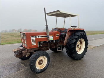 Fiat 80-66 - Traktor