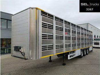Loomaveo poolhaagis Pezzaioli CIMC / SR03 / 4 Stock / Typ 2 / Ferkeltransporte: pilt 1