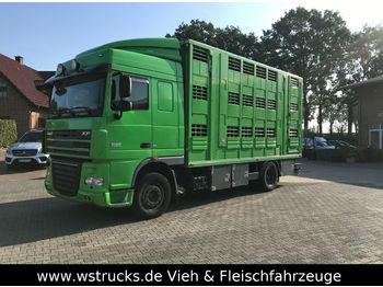 Loomaveok DAF 105 / 460 Menke 3 Stock: pilt 1