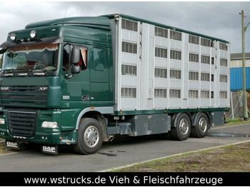 Loomaveok DAF XF105/410 Spacecup Menke 4 Stock