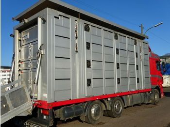 Loomaveok DAF XF105/460 Spacecup Menke 4 Stock