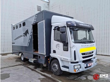 Iveco Eurocargo 120 E 22 horse truck paarden - Loomaveok