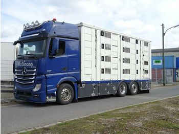Loomaveok Mercedes-Benz Actros 2551 Menke 4 Stock Vollalu Hubach