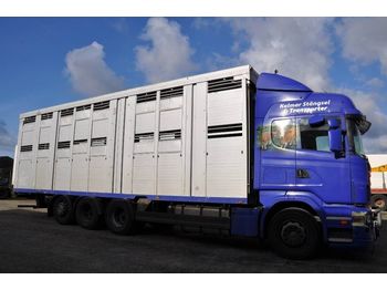 Loomaveok SCANIA R480LB8X4*4HNB