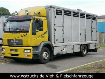 Loomaveok MAN 15.220 Menke Einstock: pilt 1