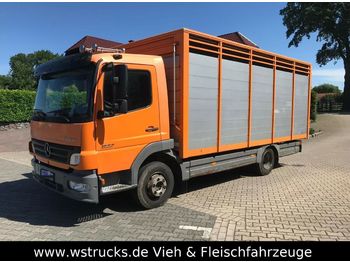 Loomaveok transporditavad ained loomad Mercedes-Benz 822 L  mit Eckstein Einstock: pilt 1