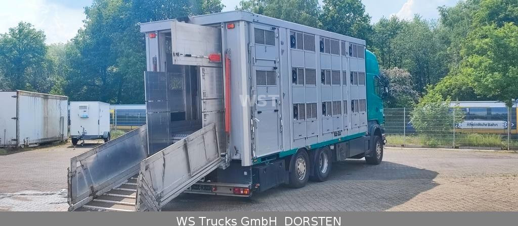 Loomaveok Scania R 440 Topline KABA 3 Stock Hubdach: pilt 3