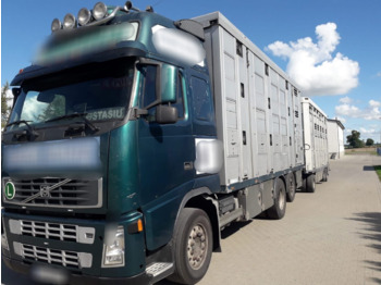Loomaveok Volvo FH 12 Animal transporter: pilt 1