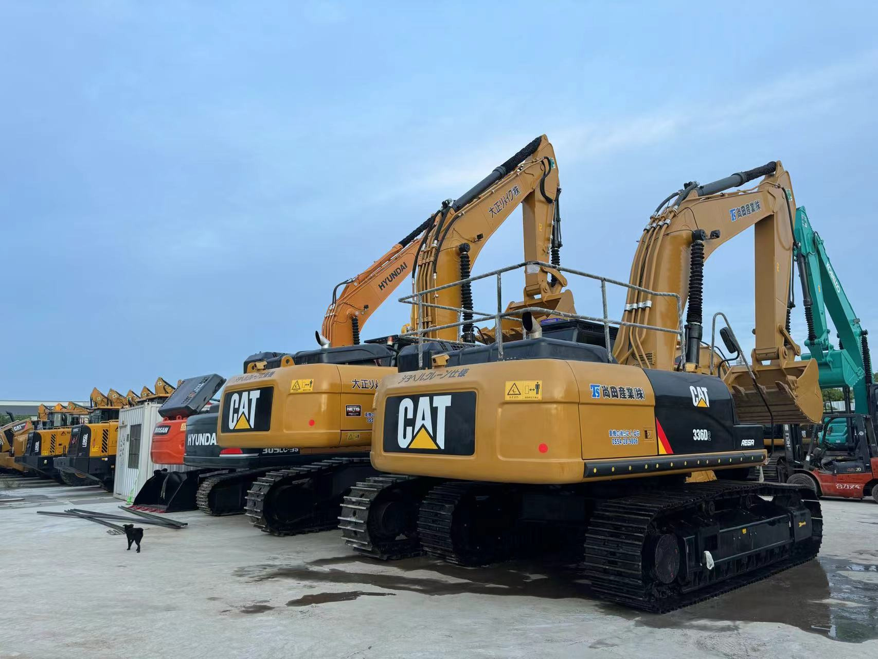 Sunight Development Company Limited - Sadulveokid SHACMAN undefined: pilt 2