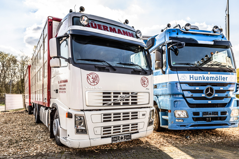 WS Trucks GmbH undefined: pilt 2