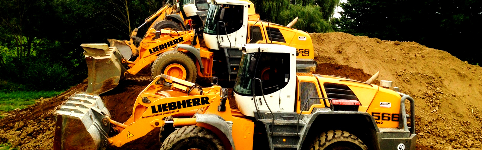 Baumaschinen Puntigam GmbH - Haagised - uus undefined: pilt 1