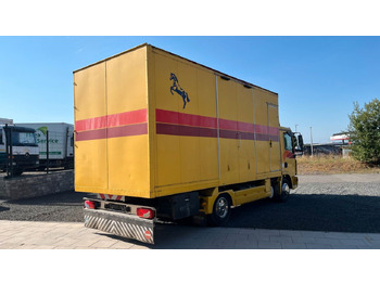 MAN TGL 10.180 Euro 4  Pferdetransporter Horse MAN TGL 10.180 Euro 4  Pferdetransporter Horse liising MAN TGL 10.180 Euro 4  Pferdetransporter Horse MAN TGL 10.180 Euro 4  Pferdetransporter Horse: pilt 4