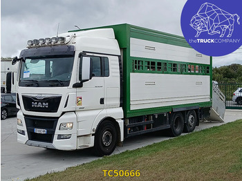 Loomaveok MAN TGX