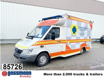 Kaubik MERCEDES-BENZ Sprinter 313