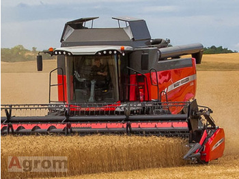 Kombain MASSEY FERGUSON