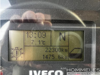 Madelveok/ Platvormveok Iveco 100E22 4x4 (M104): pilt 3