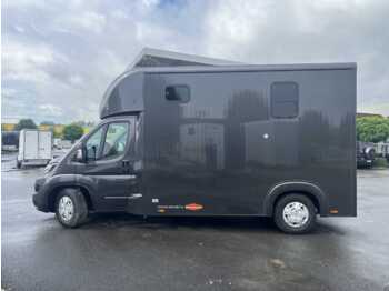 Hobuseauto Fiat Böckmann Compact Basic LKW: pilt 5