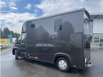 Hobuseauto Fiat Böckmann Compact Basic LKW: pilt 4