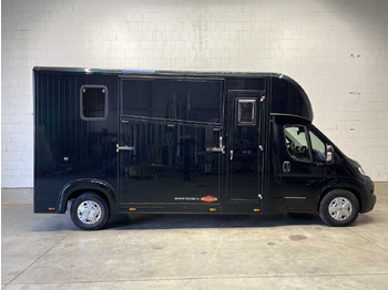 Fiat Böckmann Compact L+ Stall Tour LKW liising Fiat Böckmann Compact L+ Stall Tour LKW: pilt 1