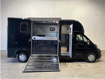 Fiat Böckmann Compact L+ Stall Tour LKW liising Fiat Böckmann Compact L+ Stall Tour LKW: pilt 4