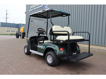 Golfiauto BRINGO DG-C2 Valid Inspection, *Guarantee! Dutch R: pilt 4