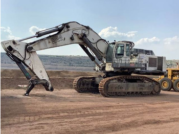 Lintekskavaator LIEBHERR