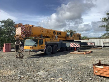 Maastikukraana LIEBHERR
