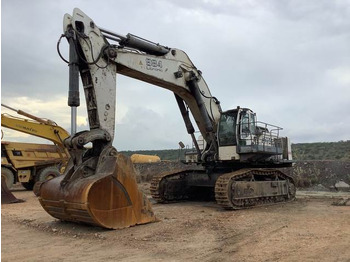 Lintekskavaator LIEBHERR