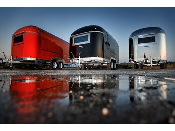 SHINE Spring RED liising SHINE Spring RED: pilt 3