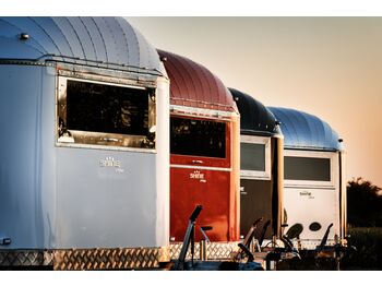 SHINE Spring RED liising SHINE Spring RED: pilt 2