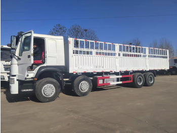 Madelveok/ Platvormveok Sinotruk HOWO 8*4 Dump truck: pilt 3