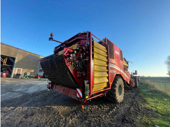Saagikoristusmasin Grimme VARITRON 470 RS VARIO: pilt 3