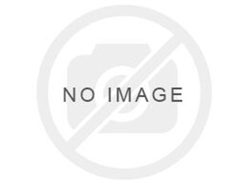Lintekskavaator LIEBHERR R 954