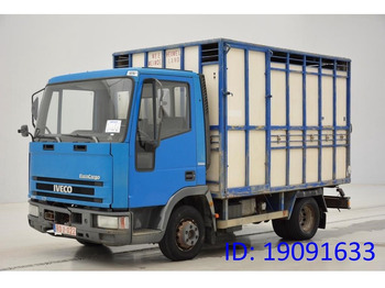Loomaveok IVECO