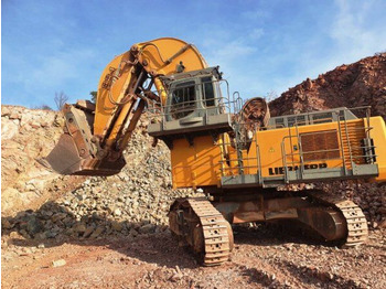 Ekskavaator LIEBHERR