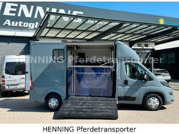 Hobuseauto Peugeot Boxer 3-Sitzer *NEUWAGEN* 1000 KG NUTZLAST: pilt 4