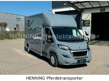 Hobuseauto Peugeot Boxer 3-Sitzer *NEUWAGEN* 1000 KG NUTZLAST: pilt 2