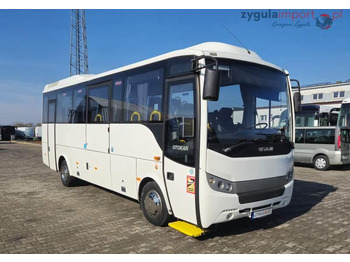Maakonnaliini buss
