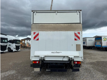 Kasti veoauto IVECO EUROCARGO 75E19P: pilt 3