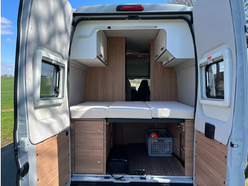 Uus Campervan Weinsberg CaraBus 600 DQ: pilt 4