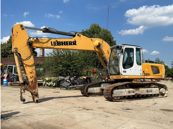 Lintekskavaator LIEBHERR R 924