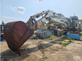 Lintekskavaator LIEBHERR R 954