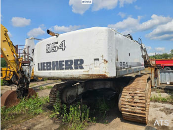 Lintekskavaator 2007 Liebherr  R 954C: pilt 5