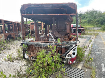 Linnaliini buss IVECO