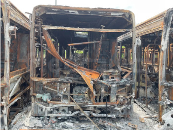 Linnaliini buss IVECO